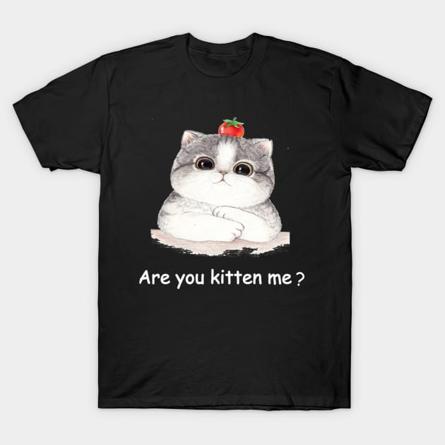 Are you kitten me ? T-Shirt by Hussein@Hussein